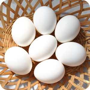 Eggs and Dairy Icon